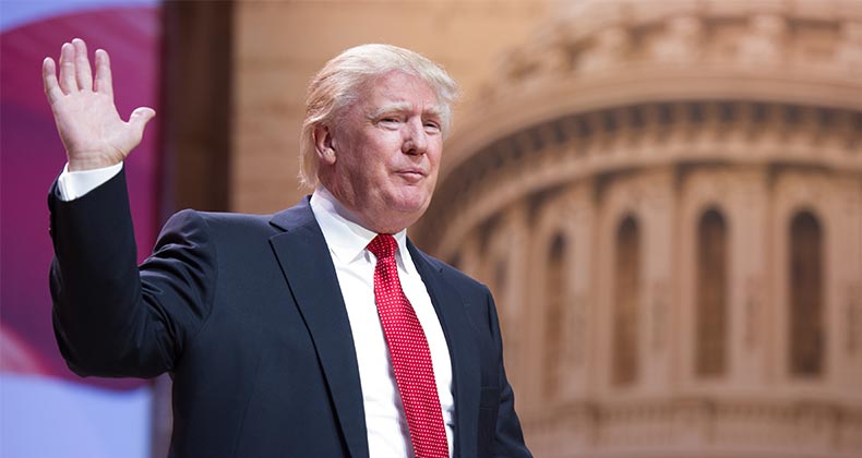 Donald Trump and your wallet | Christopher Halloran/Shutterstock.com