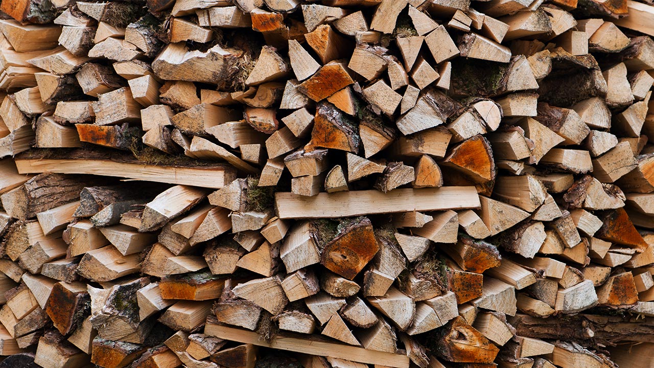 Stacked firewood
