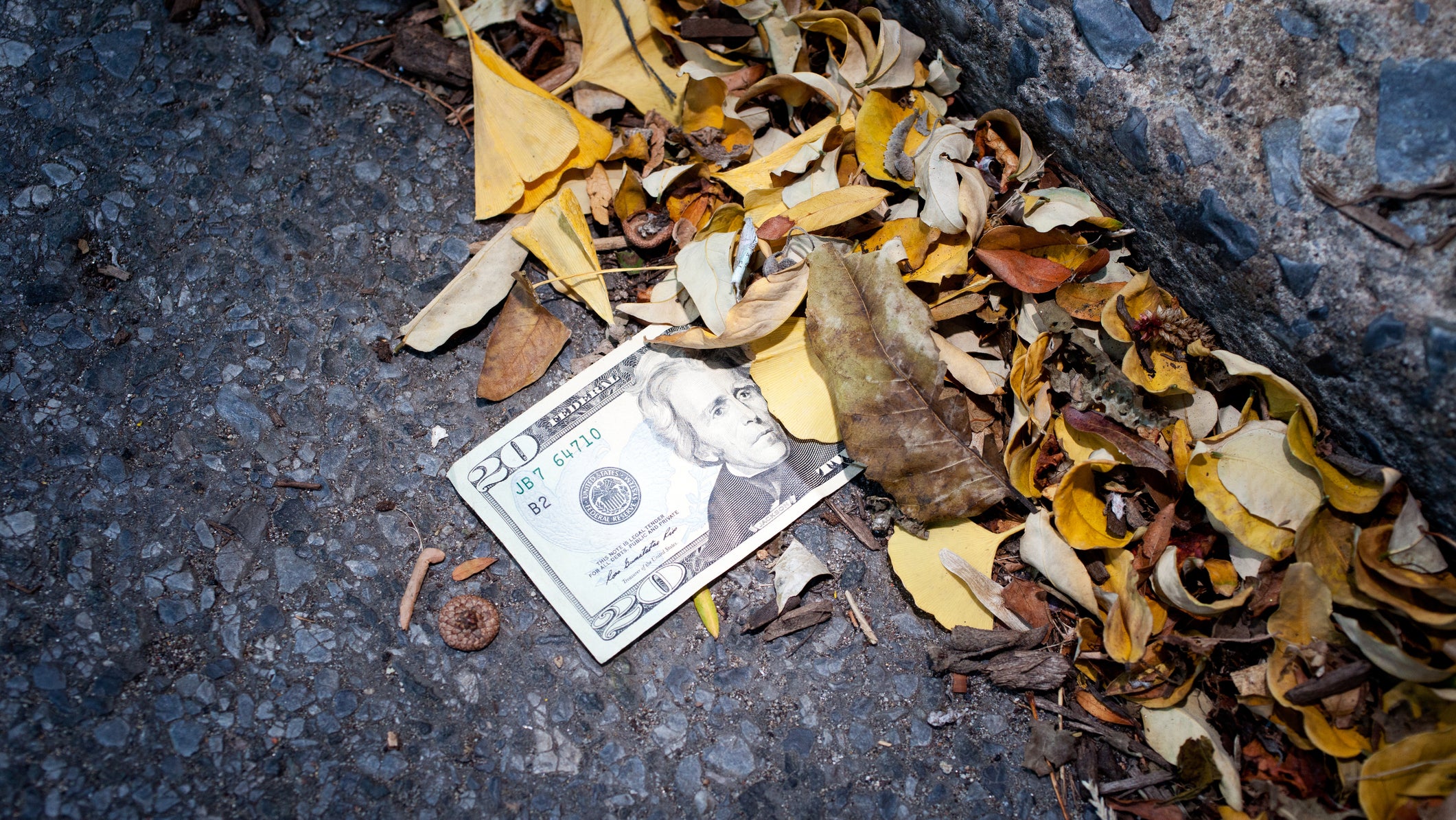 $20 US currency bill stuck in gutter