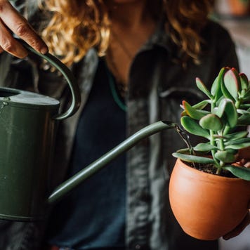 Woman watering flowers