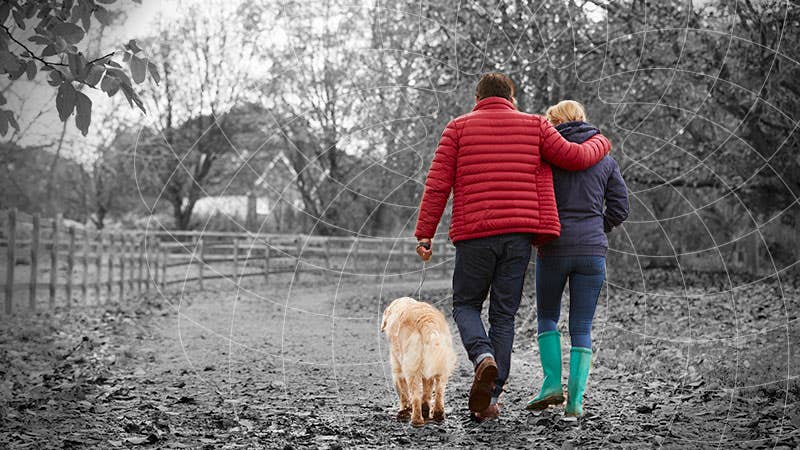 An older couple walks with their dog