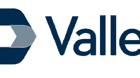 Valley Bank logo