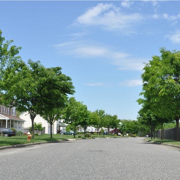 Houses and trees lining a street