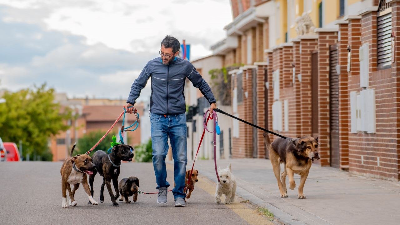 What is a Solo 401(k)?