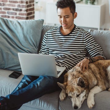 Young man at home uses his laptop on couch with his dog
