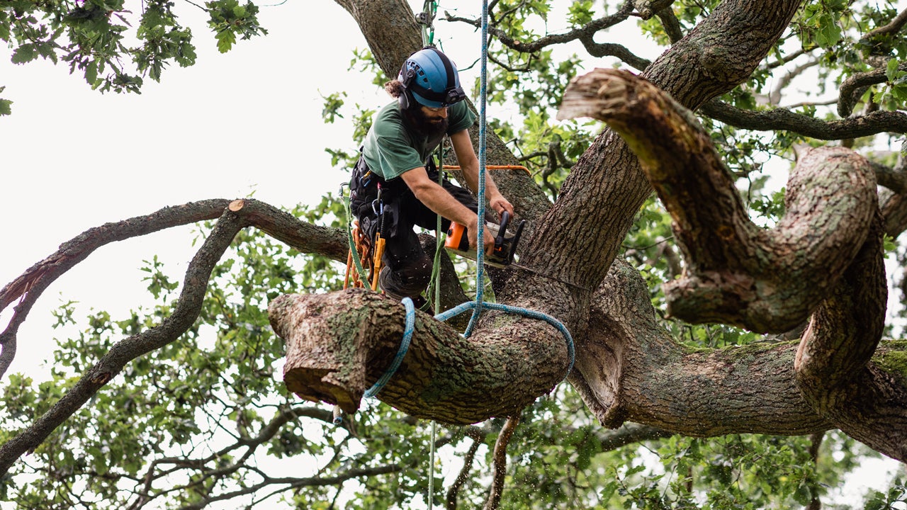 man using using chainsaw to cut tree branch