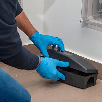 exterminator prepping rat trap