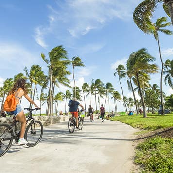 people riding bicycles in miami beach florida