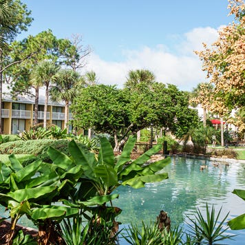 hotel grounds of the Wyndham Orlando Resort International Drive