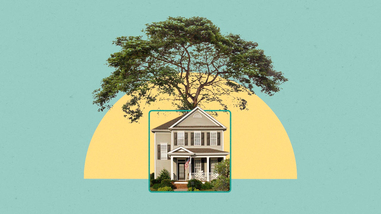 Illustrated collage featuring a tree growing behind a house