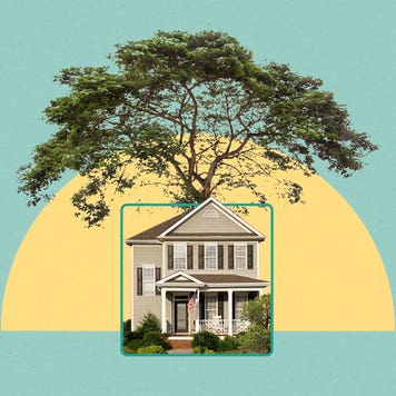 Illustrated collage featuring a tree growing behind a house