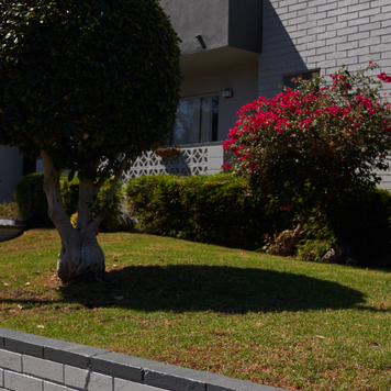 lawn of a house with a for rent sign in the yard