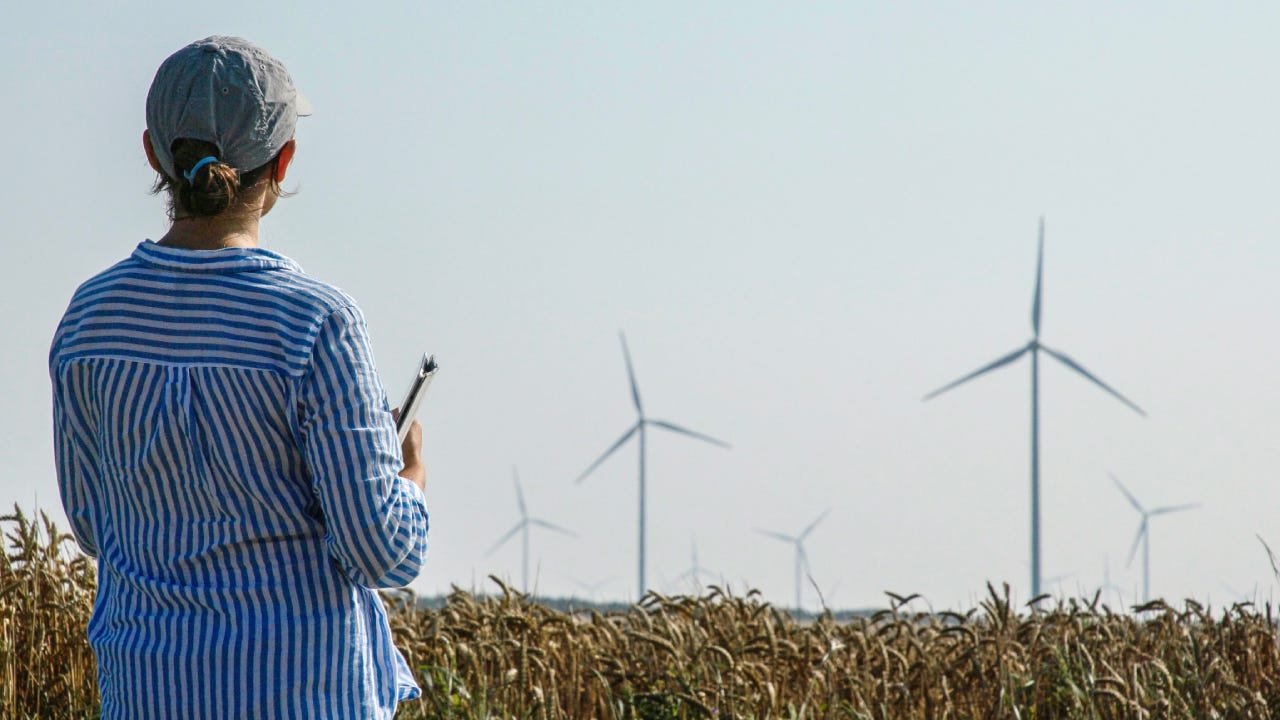Farmer woman examining wheat field with wind generators behind