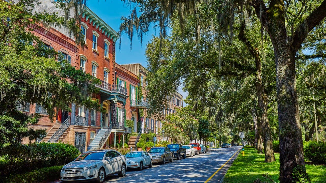 Tree lined historic homes on the community road in Savanna,Georgia,USA