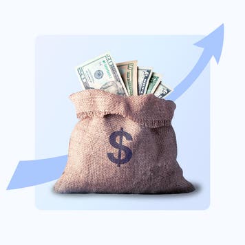 design image of a money bag and an upwards trend arrow