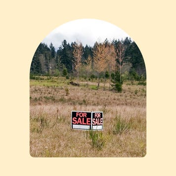 land with trees in background and 2 for sale signs