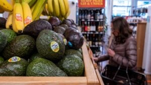 Avocados and bananas from Mexico at grocery store in San Francisco, California