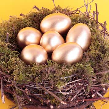Six golden eggs in a nest.