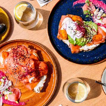 Avocado toast and Eggs Benedict served for brunch