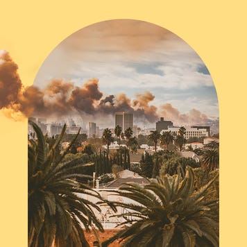 Los Angeles cityscape with palm trees and plumes of smoke in the sky