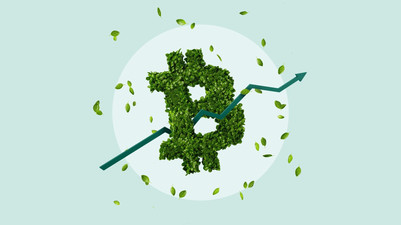 Leaves in the shape of a Bitcoin symbol.
