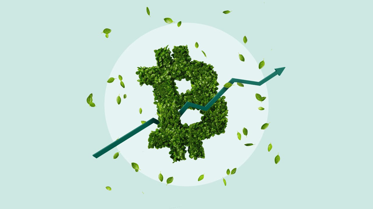 Leaves in the shape of a Bitcoin symbol.