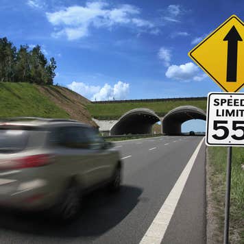 car driving over the 55 mph speed limit