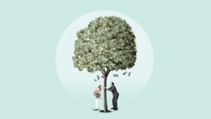 design image of a tree made out of money and two people trying to shake it