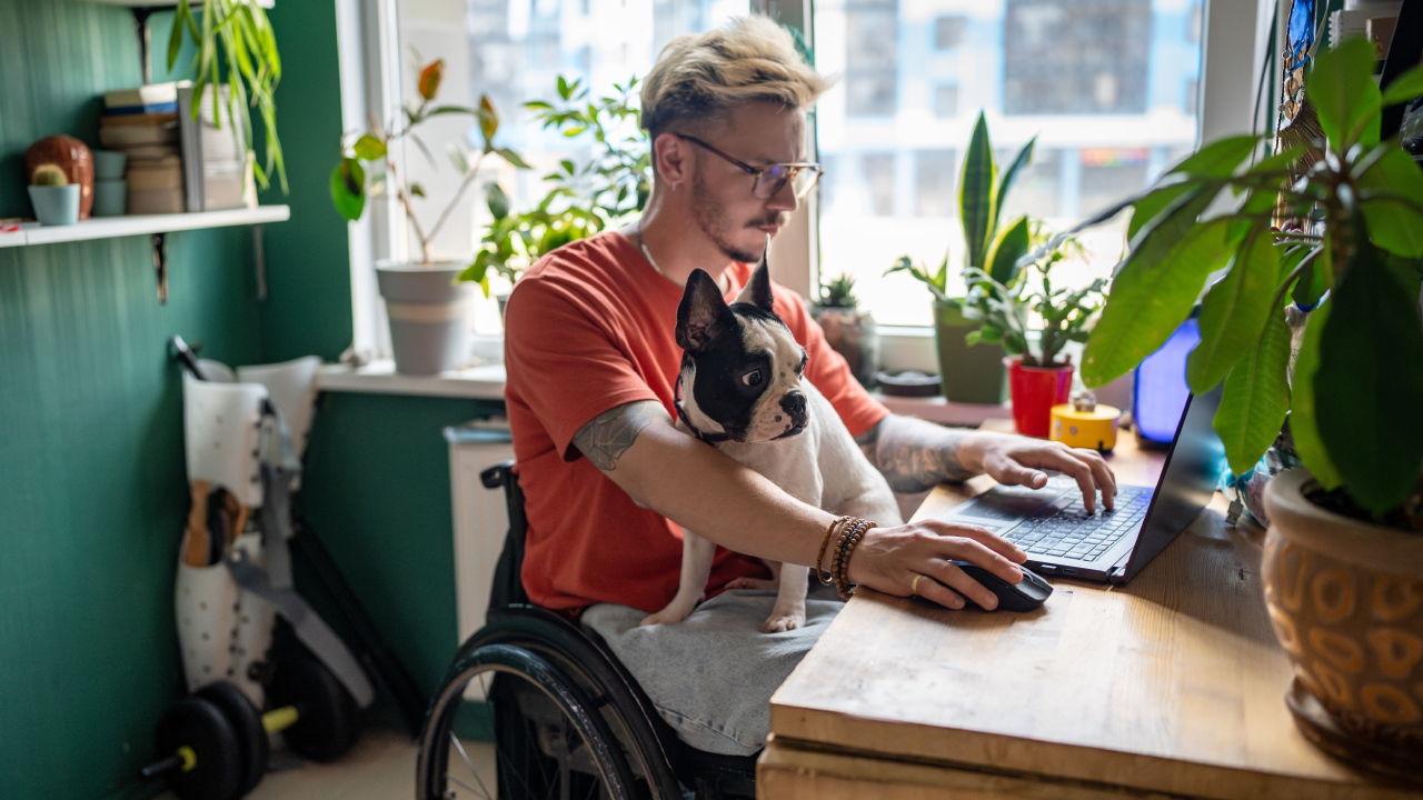 Man working on laptop, sitting in wheelchair with small dog on his lap.