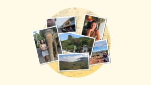 Travel snapshots scattered on a map