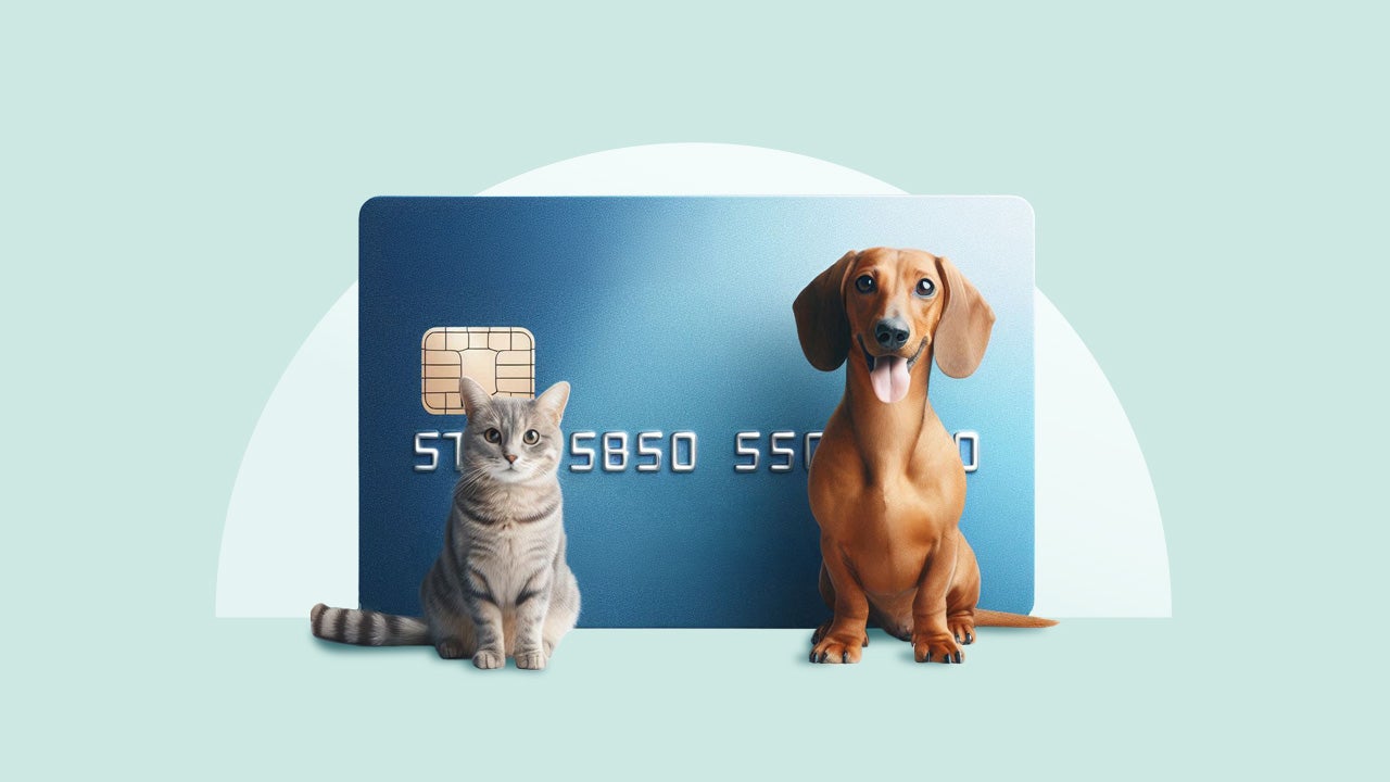 credit card with cat and dog standing in front of it