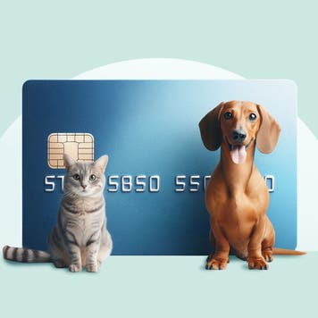 credit card with cat and dog standing in front of it