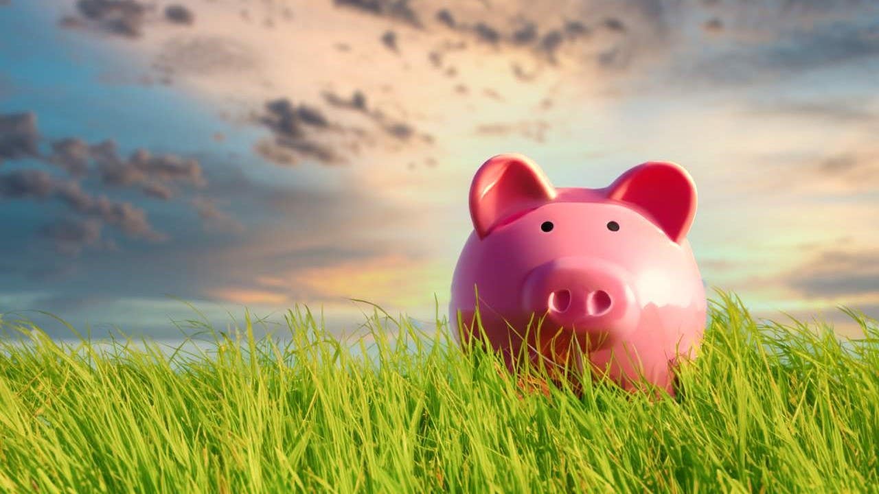 Piggy bank in the green grass at sunset