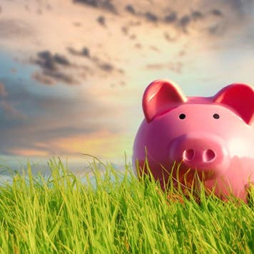 Piggy bank in the green grass at sunset