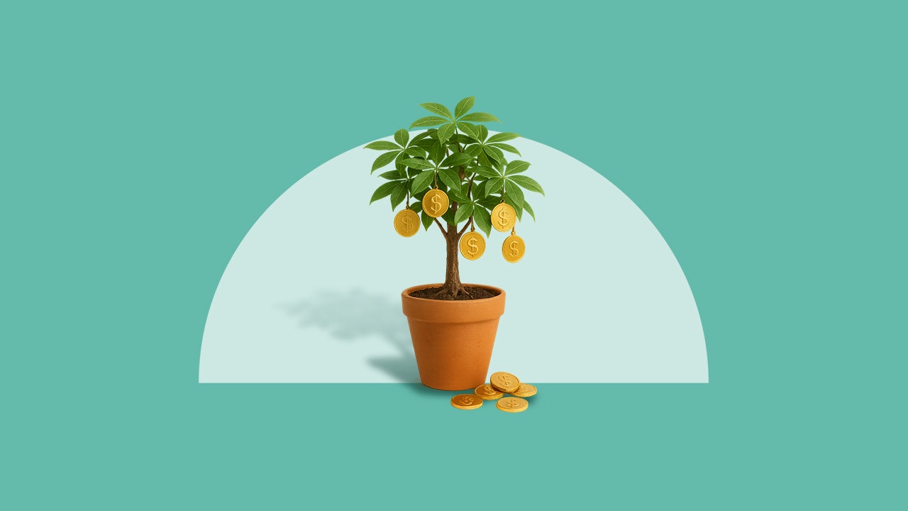 A money tree drops coins on a green background