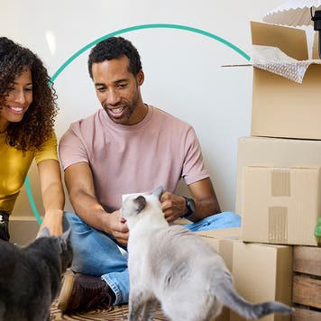 Man and woman sitting with cats near a stack of moving boxes.