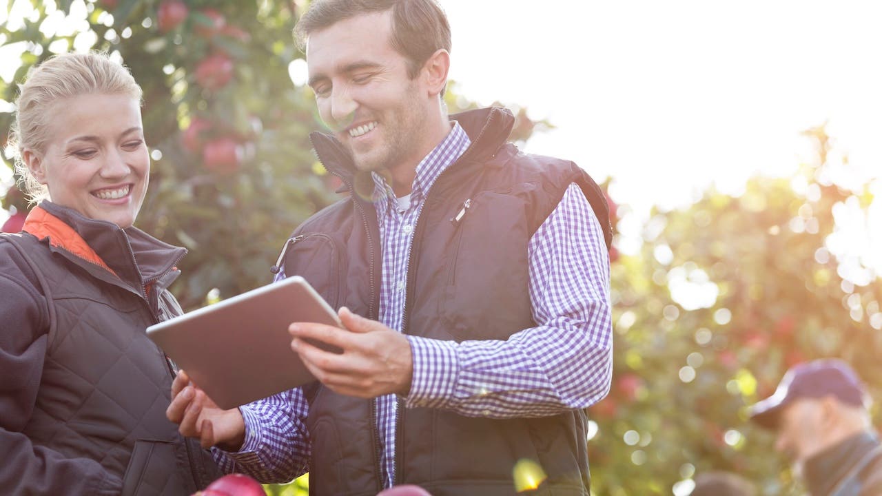 Smiling farmers using digital tablet in sunny apple orchard