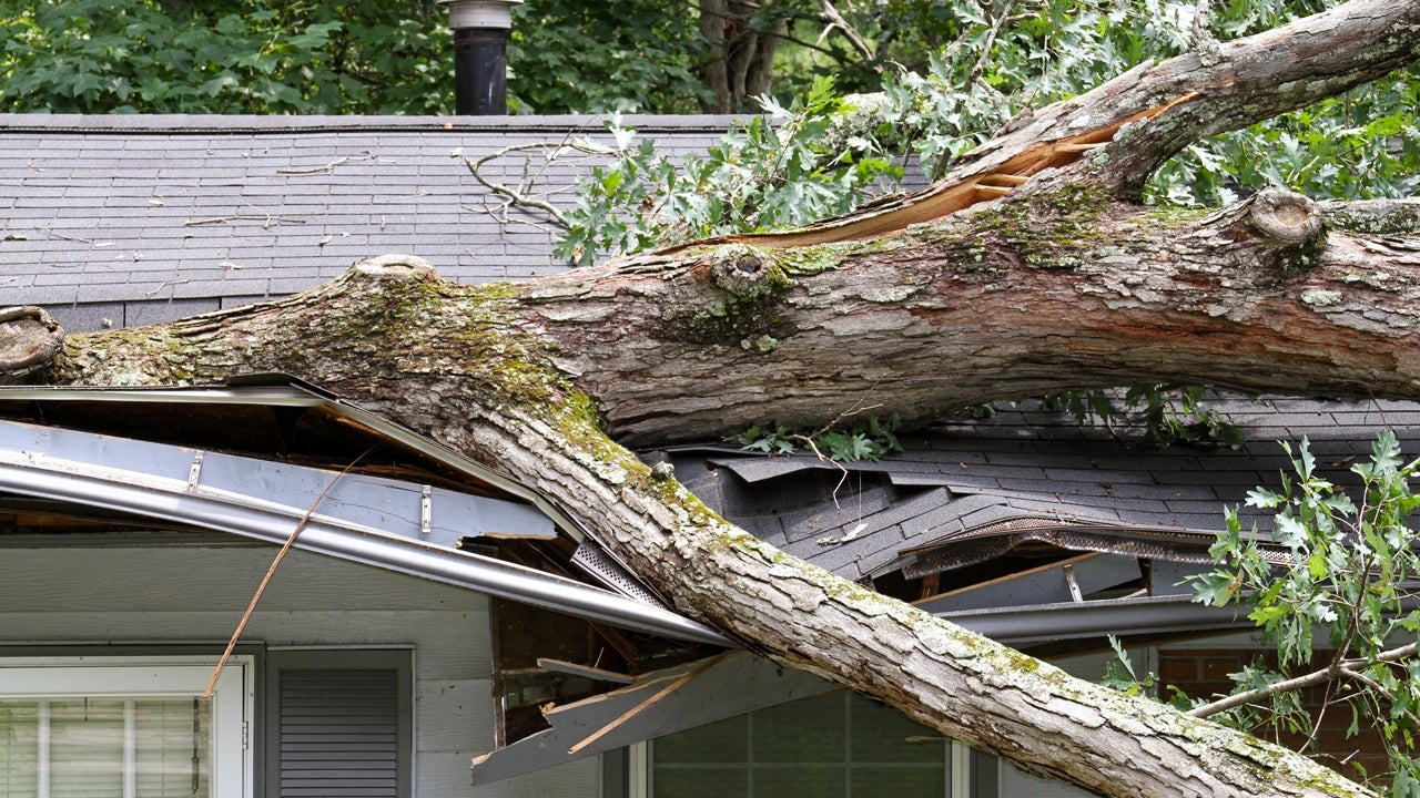 a tree the fell onto a house